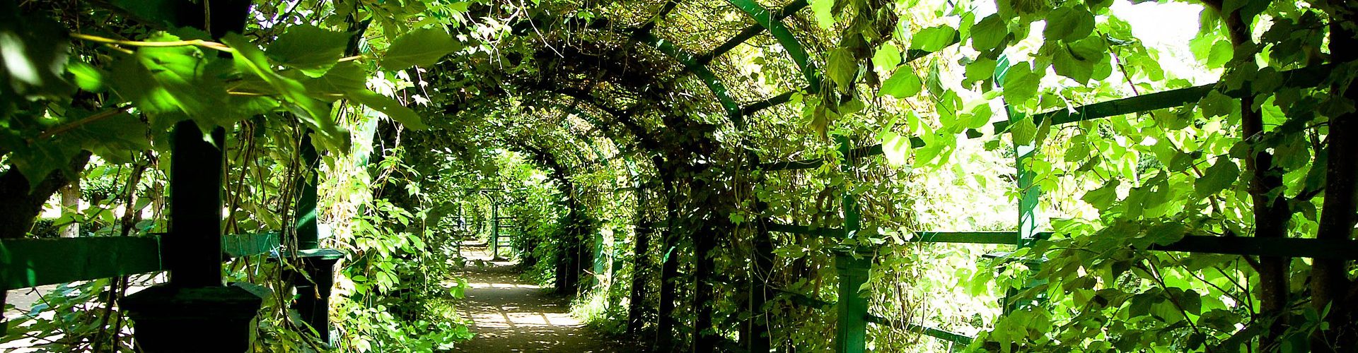 abstract 1168134 1920