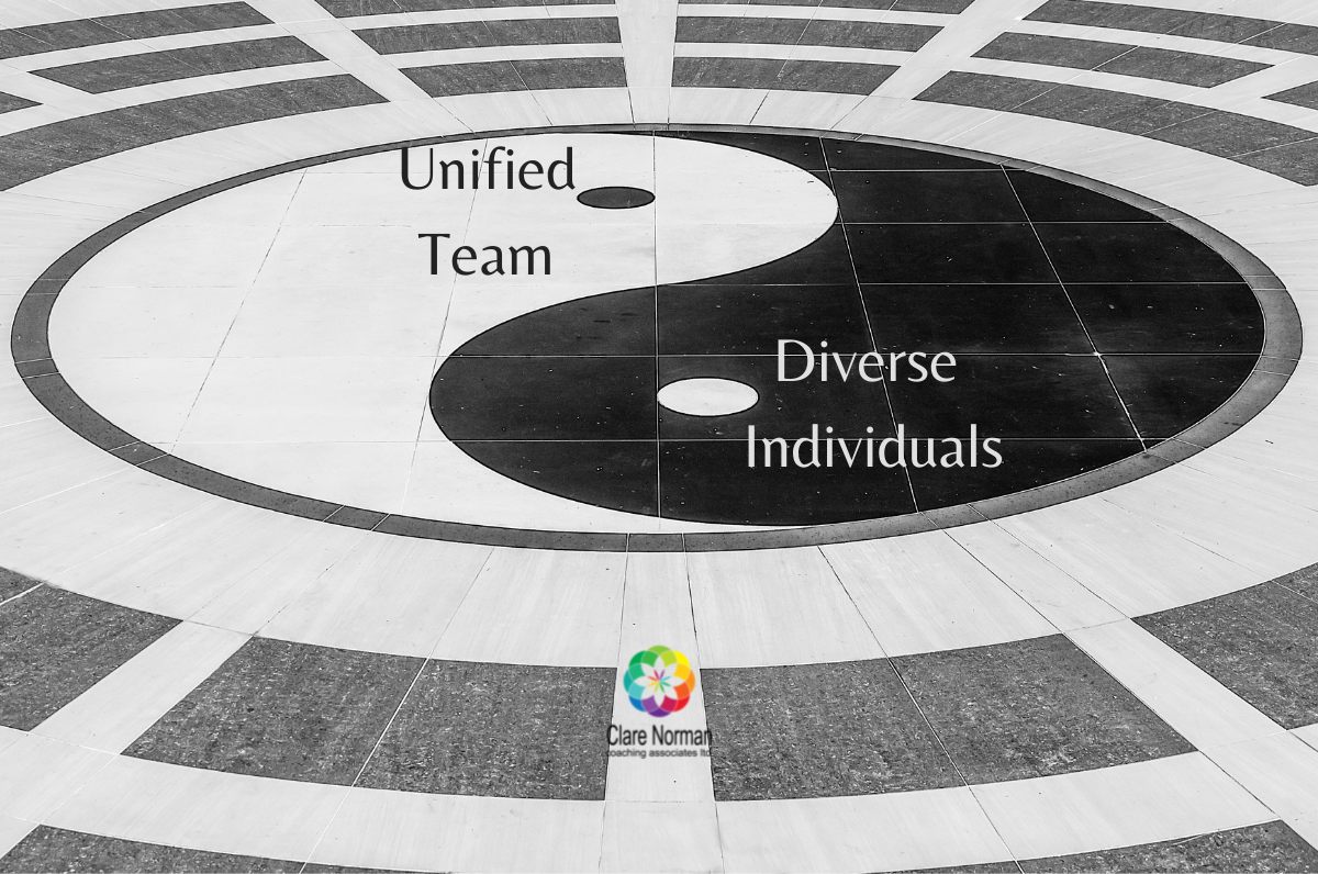 Unified team and diverse individuals