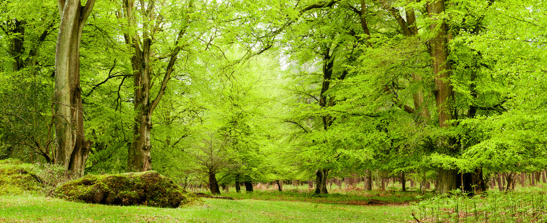 CNCA 1 1 retreat hero image