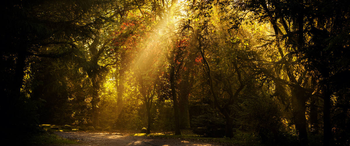 One to one mentor coaching